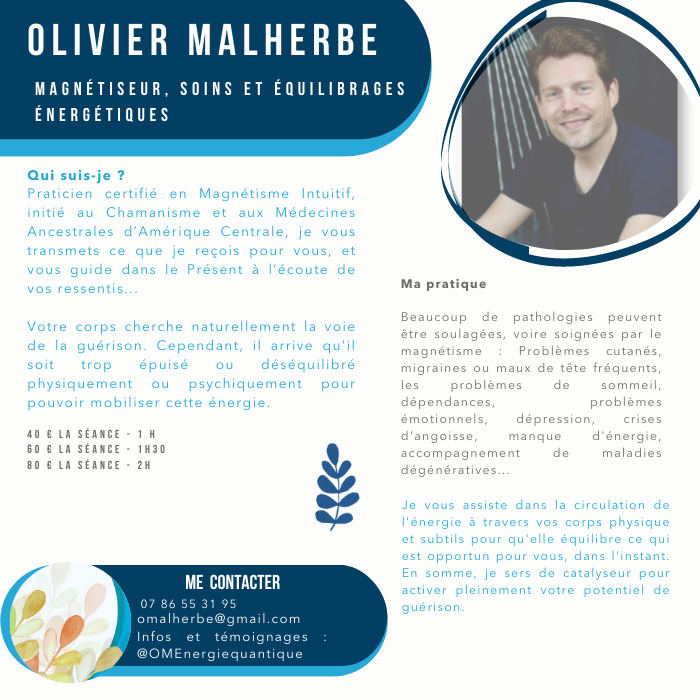 Olivier Malherbe chez Dhombres & de Lumières à Chantilly