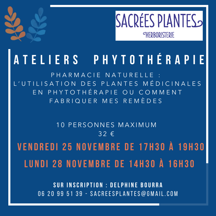Ateliers Phytothérapie 25 et 28 novembre 2022 avec Delphine Bourra