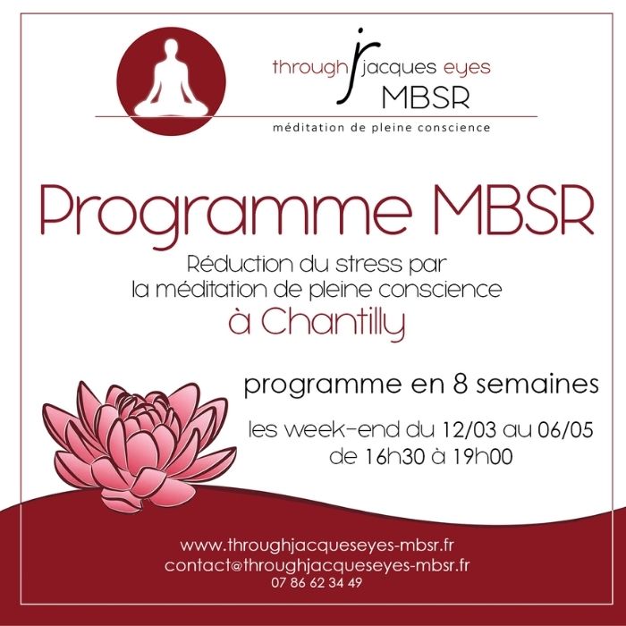 Programme MBSR de mars à mai 2023